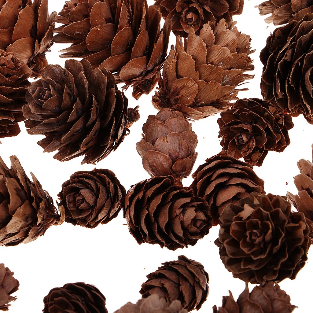50 Pcs Decoratieve Dennenappels Ongeparfumeerde Voor Fall Winter Thuis