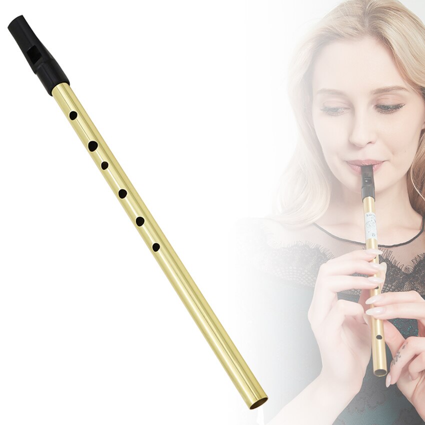 6 Gat Ierse Fluitje Fluit Key C Klarinet Fluit Tin... – Vicedeal