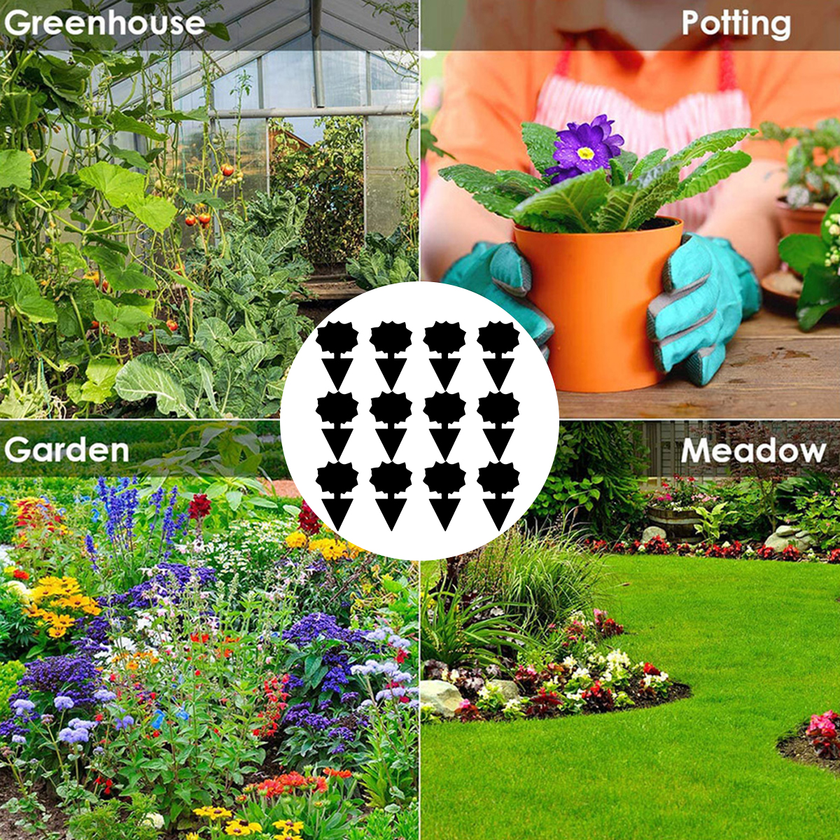 Papier collant imperméable pour plantes en pot, piège à mouches, panneau collant pour mouches de fruits, naturel, sûr, champignon, mounat
