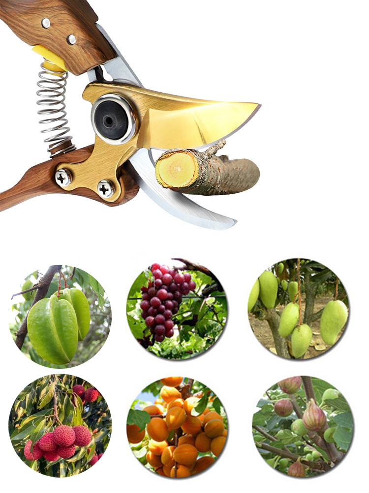Tijeras de podar para jardinería, herramienta de poda para horticultura, arbustos, ramas y huerto