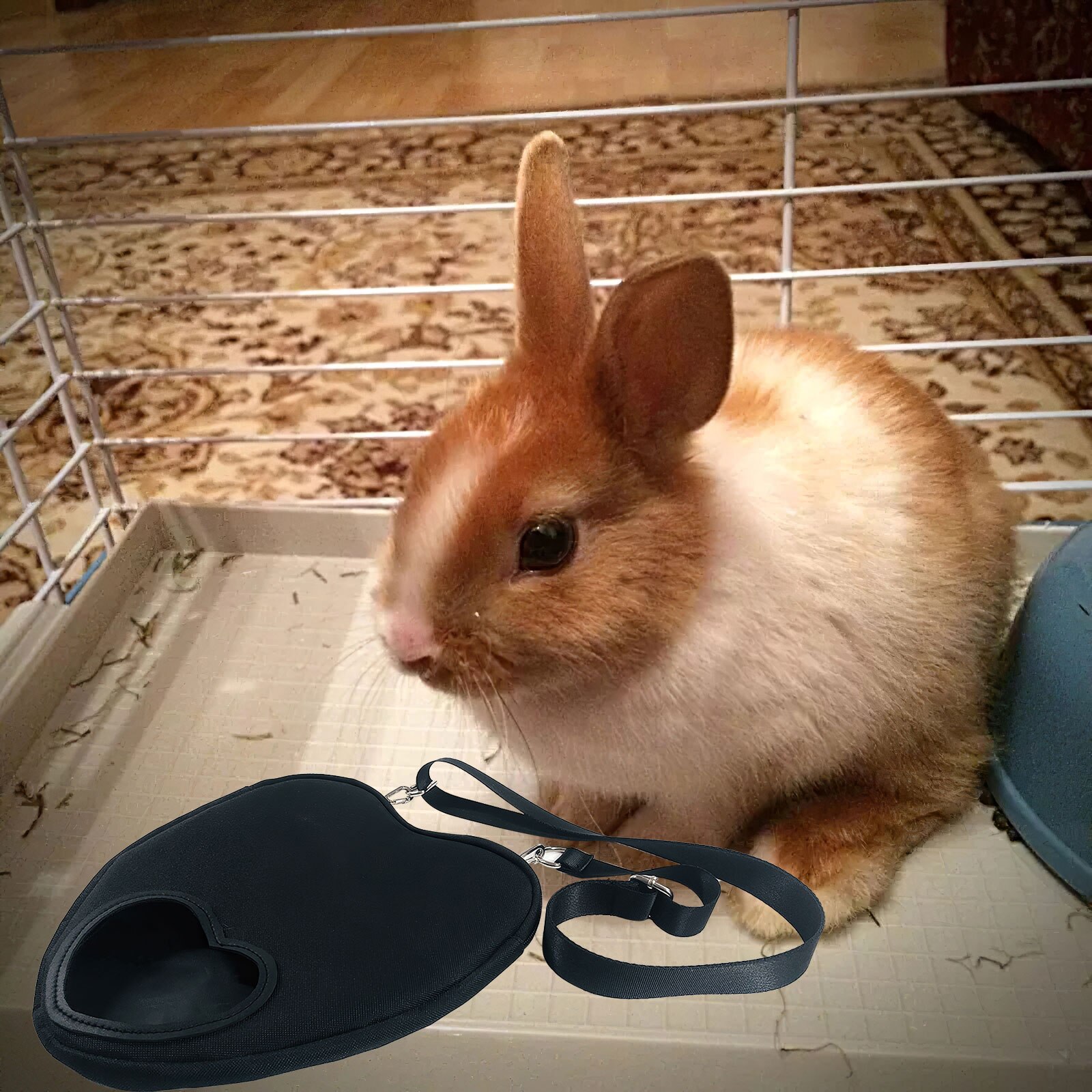 Sac de merde suspendu, support d&#39;alimentation, distributeur d&#39;alimentation, conteneur en forme de cœur d&#39;amour pour lapin cochon d&#39;inde, petits animaux de compagnie