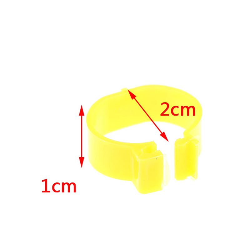 20 stk 2cm høne due ben bånd fjerkræ due fugle vagtel gås kyllinger and papegøje klip ringe indvendig diameter kylling ring