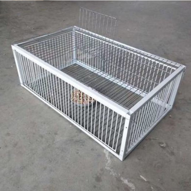 Piège à oiseaux pour pigeons galvanisé pliable au milieu, Cage pour pigeons furaux, voie humaine avec l'entrée unidirectionnelle, piégeage des pigeons, des colombes dans les cages