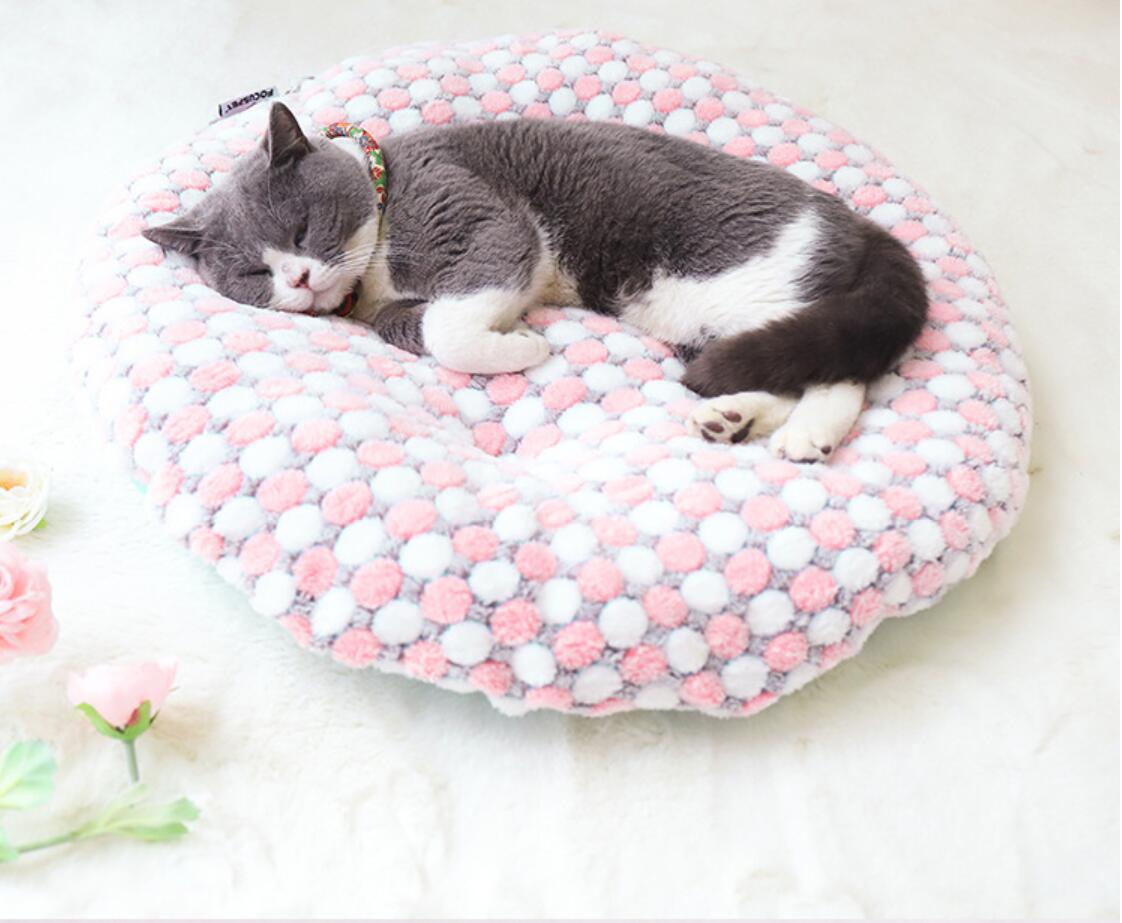 Tapis de chat confortable et mignon, coussin et Durable pour chiens et chats