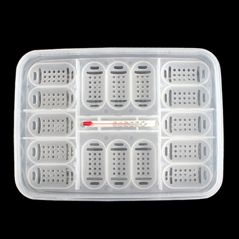 Reptile Egg Tray Snake Lizard Egg Hatching Incubator Box Gecko Dedicated Hatcher Device Tortoise Turtle Incubator Supplie j28 21