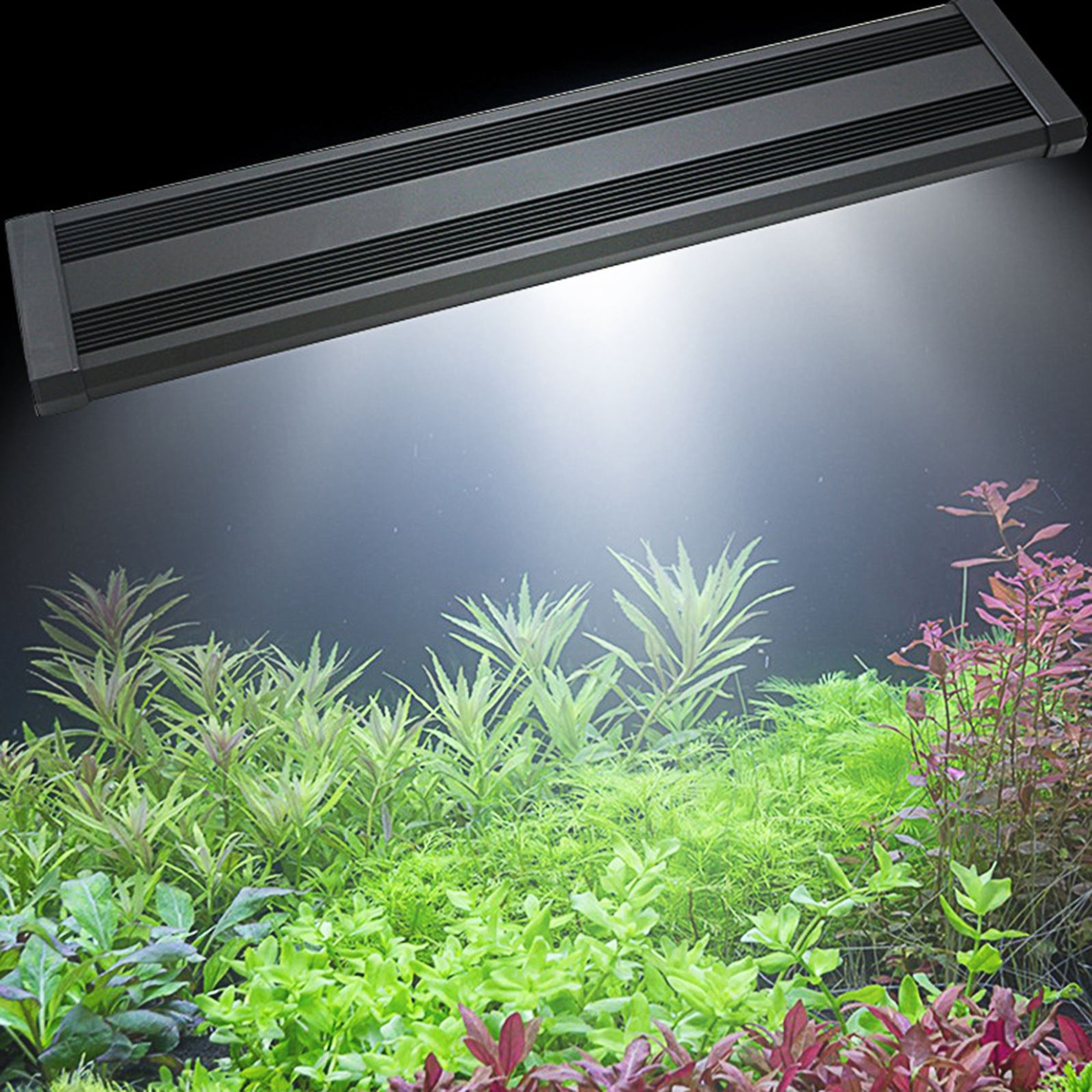 LED Aquarium Lights Waterproof Fish Tank Light Lamp Aquatic Decor lamp with Extendable Bracket External Controller Lighting Lamp