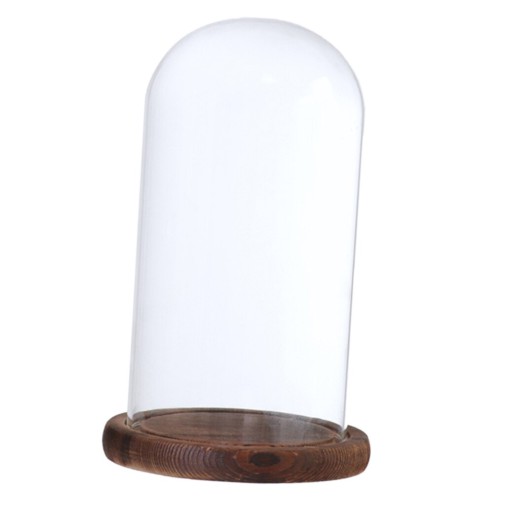 Klart glas lock landskap vas terrarium behållare blomhållare kupol för jul bröllop heminredning: Brun d