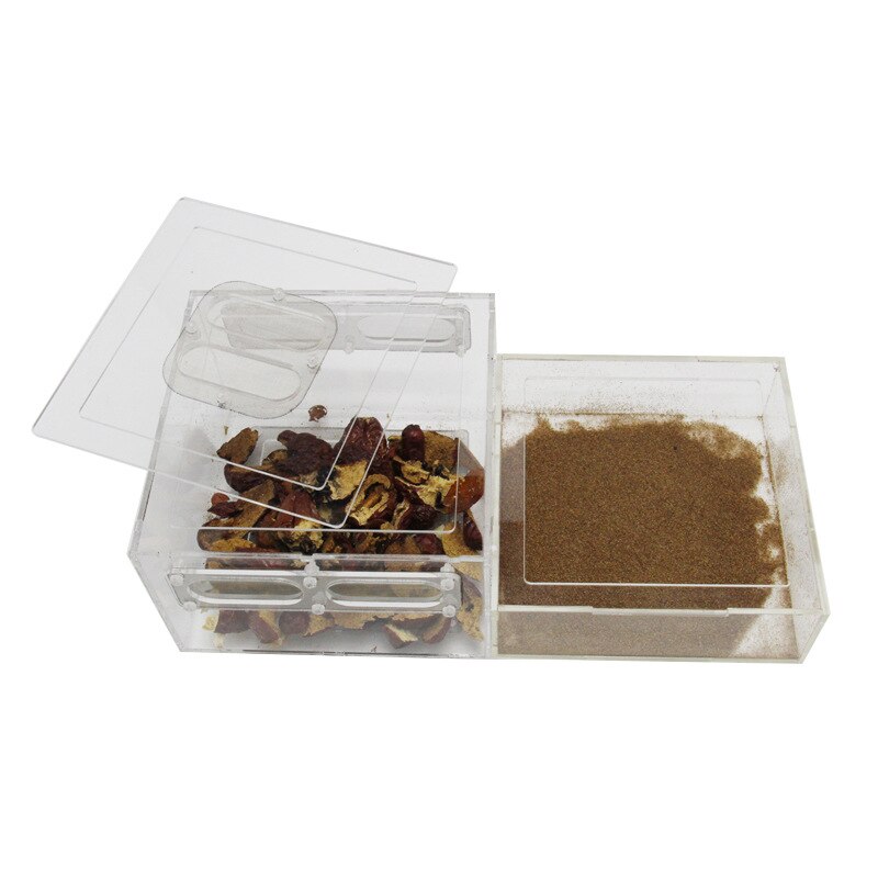 Kowloon Worm Insect Breeding Box Clear Acrylic Breeding Larva Or Fecal Separator