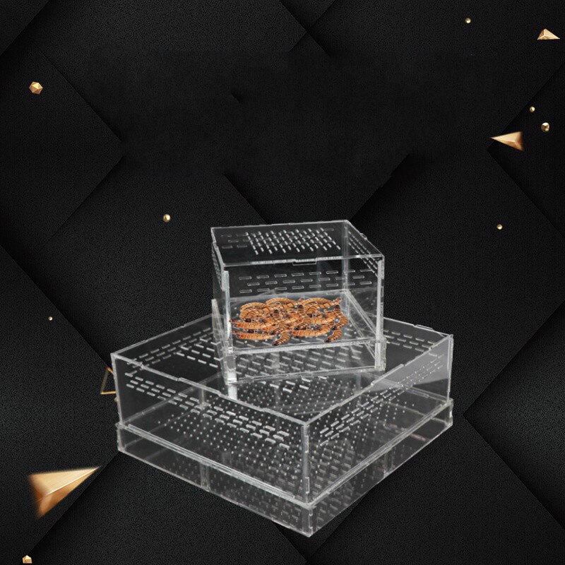 1PCS Feeding Box Living Feed Acrylic Box Barley Insect Box Yellow Mealworm Living Feeding Box