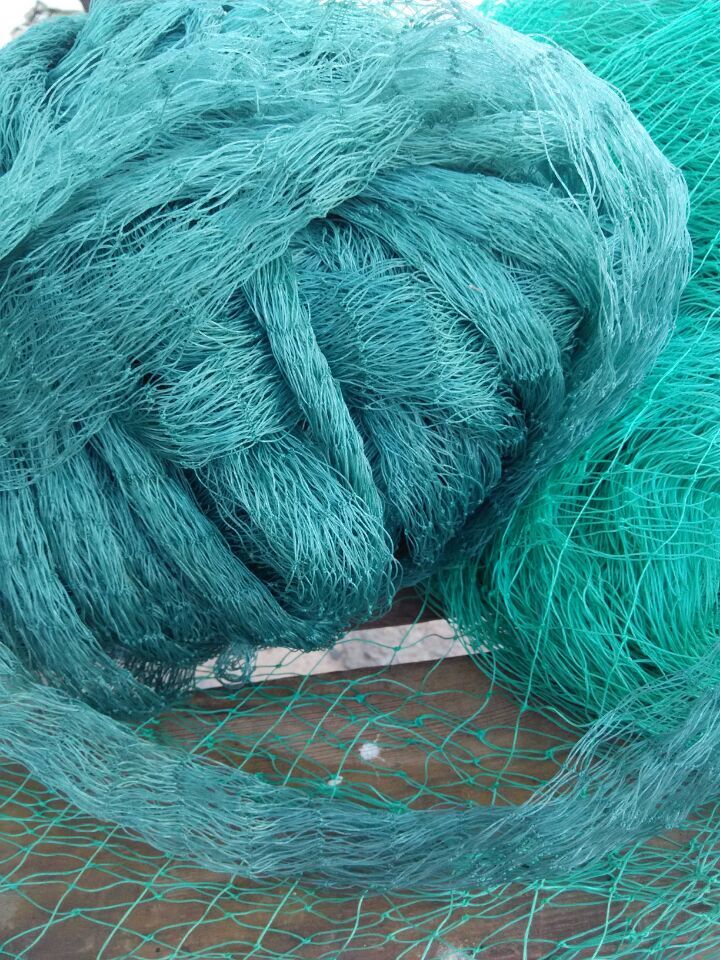 2m*5m Plastic mesh vine plants Garden fence mesh Garden ornaments Green and blue Gardening net: Green