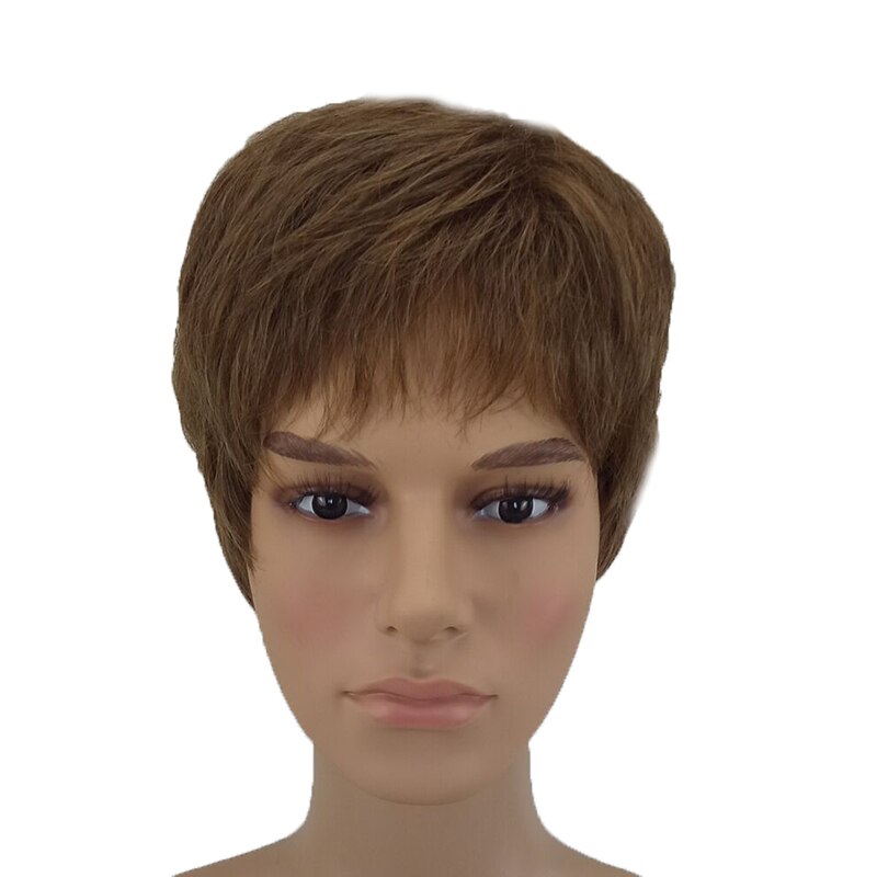 HAIRJOY Synthetic Hair Wigs Men Short Straight Wig Heat Resistant 4 Colors Available: light brown