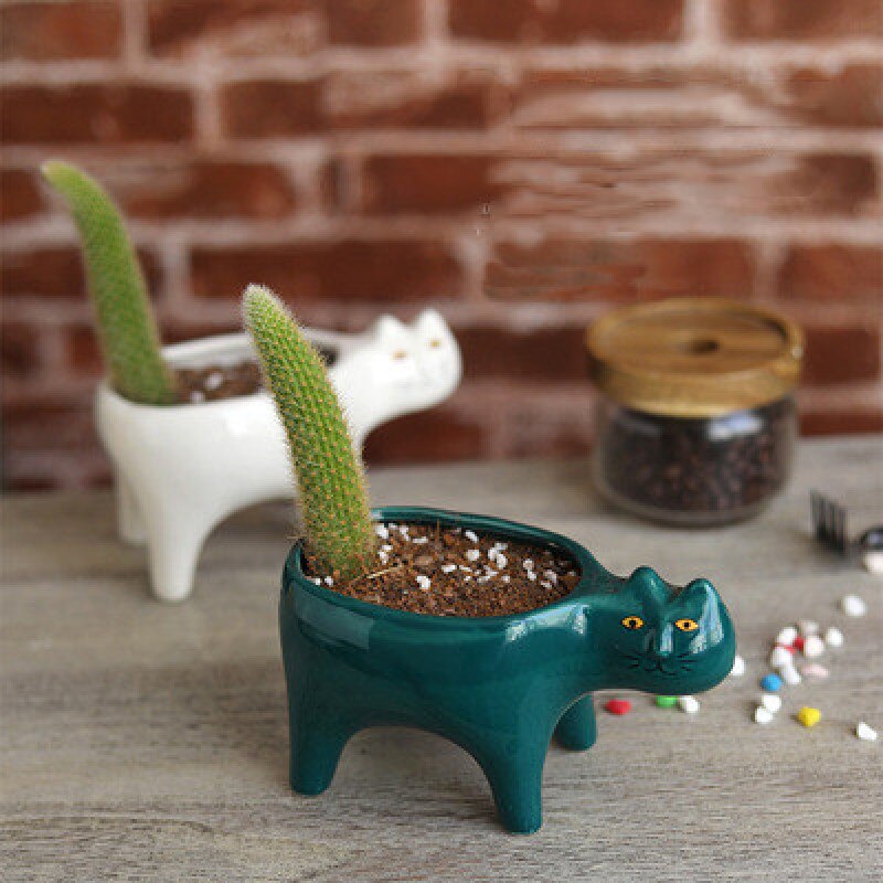 Søt katt keramisk hage blomsterpotte dyr bilde kaktus planter planter sukkulent plante container bordplate ornamenter dekorasjon