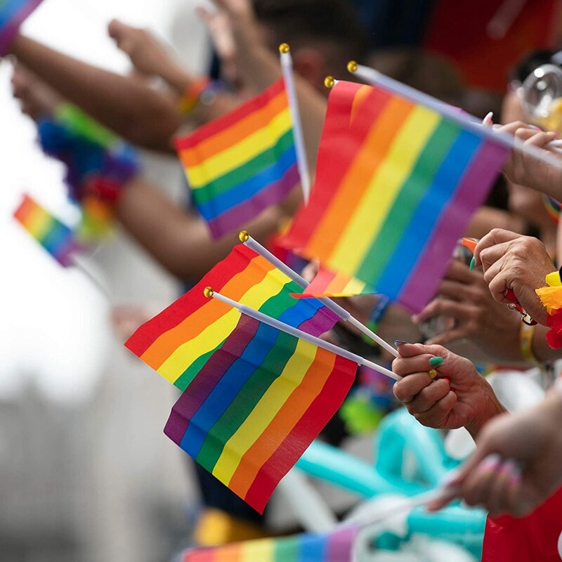 15 Rainbow Hand Flags for Waving - Stick Flags - Multicoloured Mini Hand Flags for LGBT Gay Pride Events
