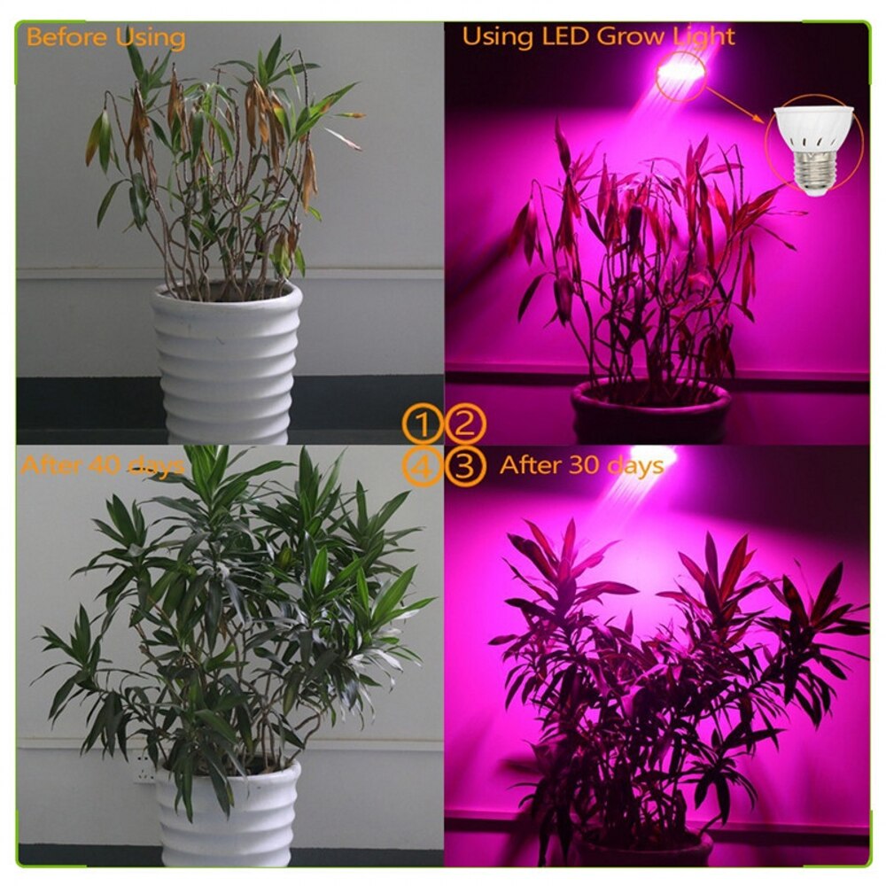 200w led fuldspektret plante vokse led pærer belysning til frø drivhus veg have e27 phyto growbox – Grandado