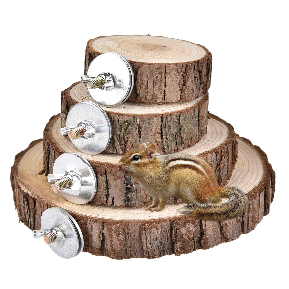 Tabla de troncos de madera Natural para hámster, plataforma de madera para Chinchilla, conejillo de indias, ardilla, Totoro, loro, para saltar, suministros de juguetes para mascotas pequeñas