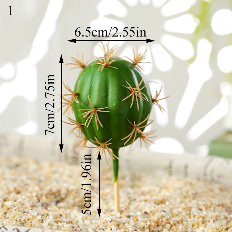 Graines de graines pour Aquarium, plante aquatique, graines faciles, Aquarium, aménagement paysager: 1