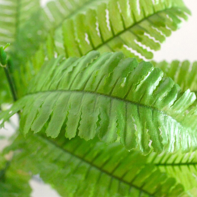 Reptile box rainforest box landscape decoration simulation plant aquarium plant