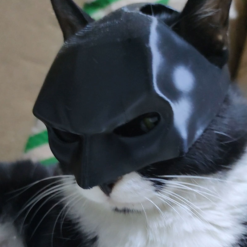 TONG Cat Bat Cool Man Mask Cat Avenger Mask Matte Cute Bat Mask Juguetes de superhéroe Cat Bat Pet