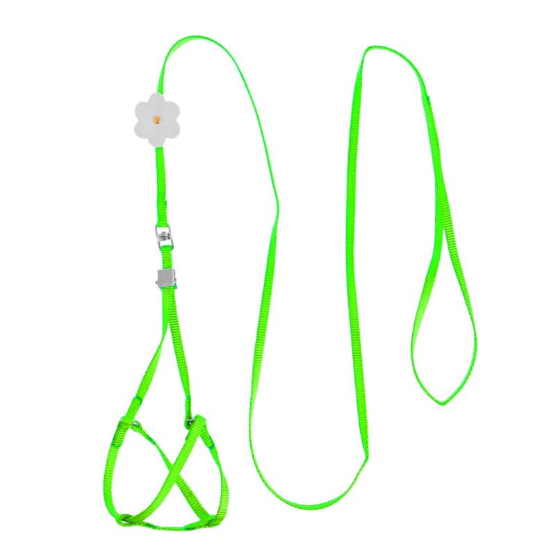 7 Colors Adjustable Bird Training Leash Portable Small Pets Walking Lead Rope Ultralight Flying Harness For Parrot Cat: Light Green