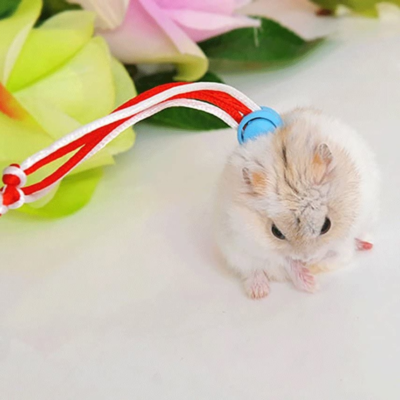 1.4m kjæledyr bånd hamster kanin tau bly krage justerbar sele tau håndlaget vevet rotte mus hamster kjæledyr bånd
