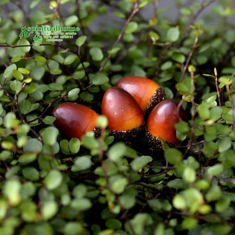 6 Pcs Artificial Pine Cone for Mininature Succulents Potted Plant