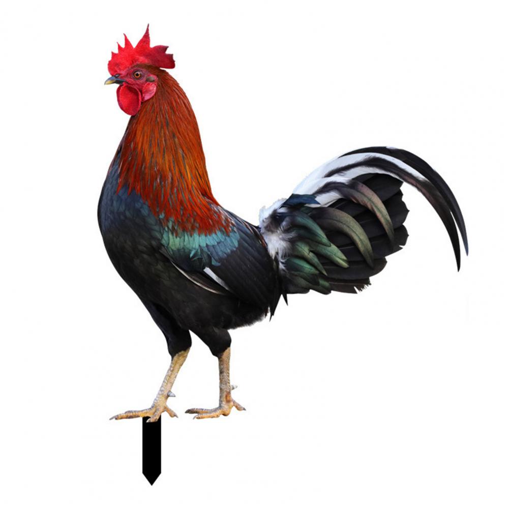 Ornamental Eco-friendly Rooster Decor Garden Statue Chicken for Garden: SKY BLUE