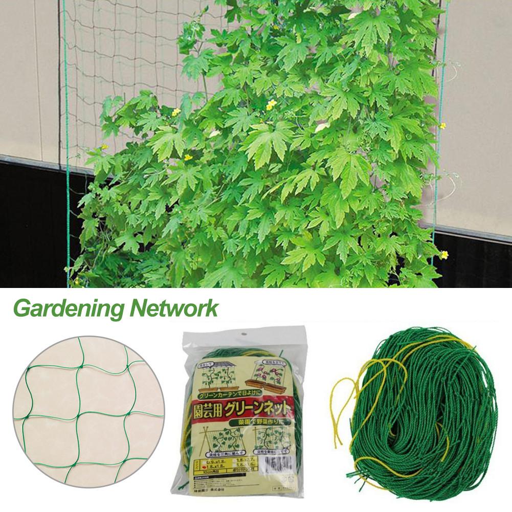 Trädgårdsarbete nätverk melon frukt morning glory vinstock nät blomma vin gurka spaljé nät växt nät #bo