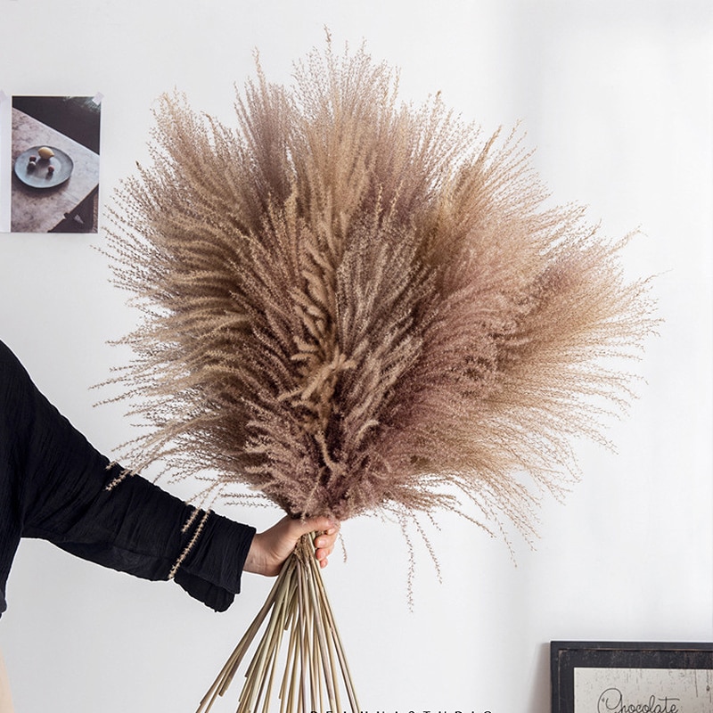 10 st pampas gräs dekor phragmites & vass blommor hem juldekoration torkad blombukett naturliga växter