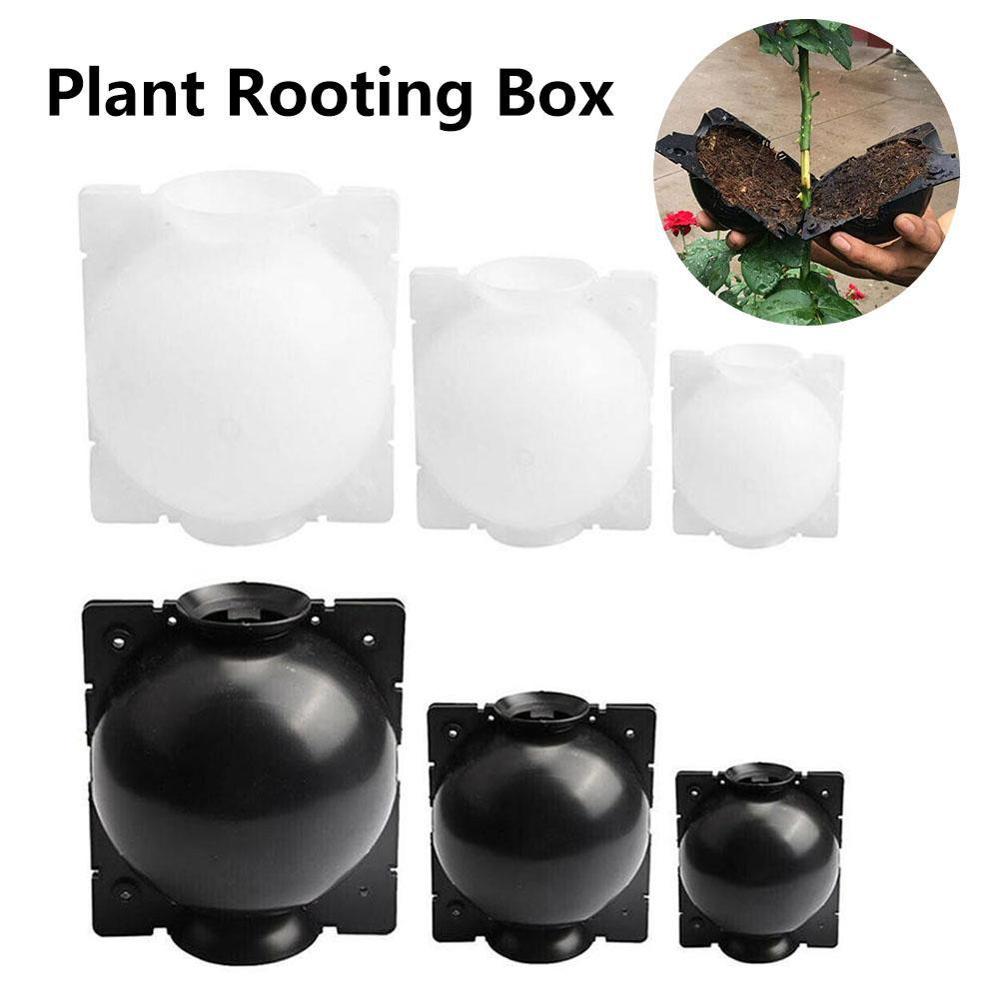 Caixa de crescimento de raiz de planta 5 peças, para jardim 5/8/12cm de diâmetro, enxertia de bola de enxertia de planta caixa de crescimento de enrolamento.