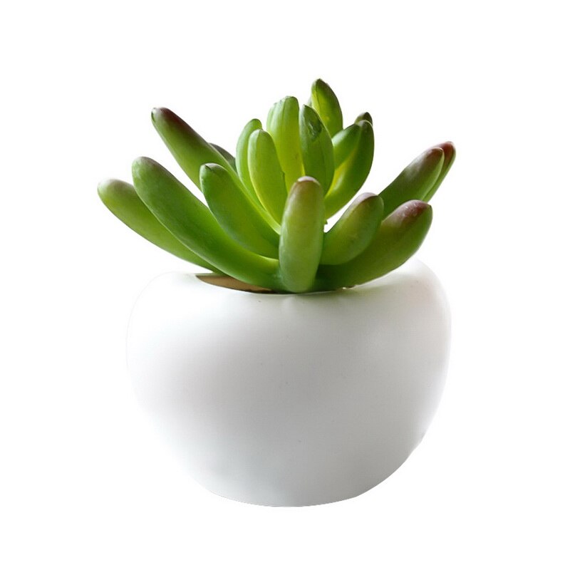 3d nevera pegatina magnético planta suculenta adhesivo con imán para nevera ramo flor nevera maceta pegatina de planta para casa decoración de la pared: B