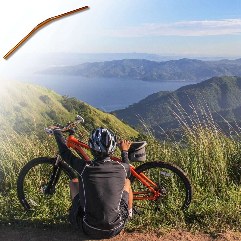 WAKE 31.8 x 780 mm MTB Mountain Bike Bicycle Aluminum Alloy Riser Handlebar(gold)
