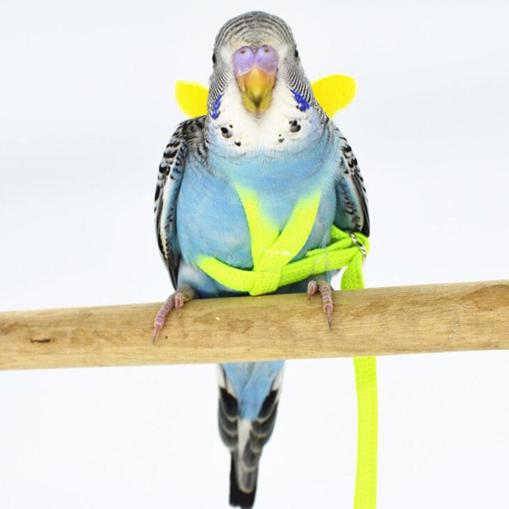 1pc Bird Harness Training Safe Bird Strap Bird Harness Bird Leash Bird Rope for Mynah Budgerigar Parrot