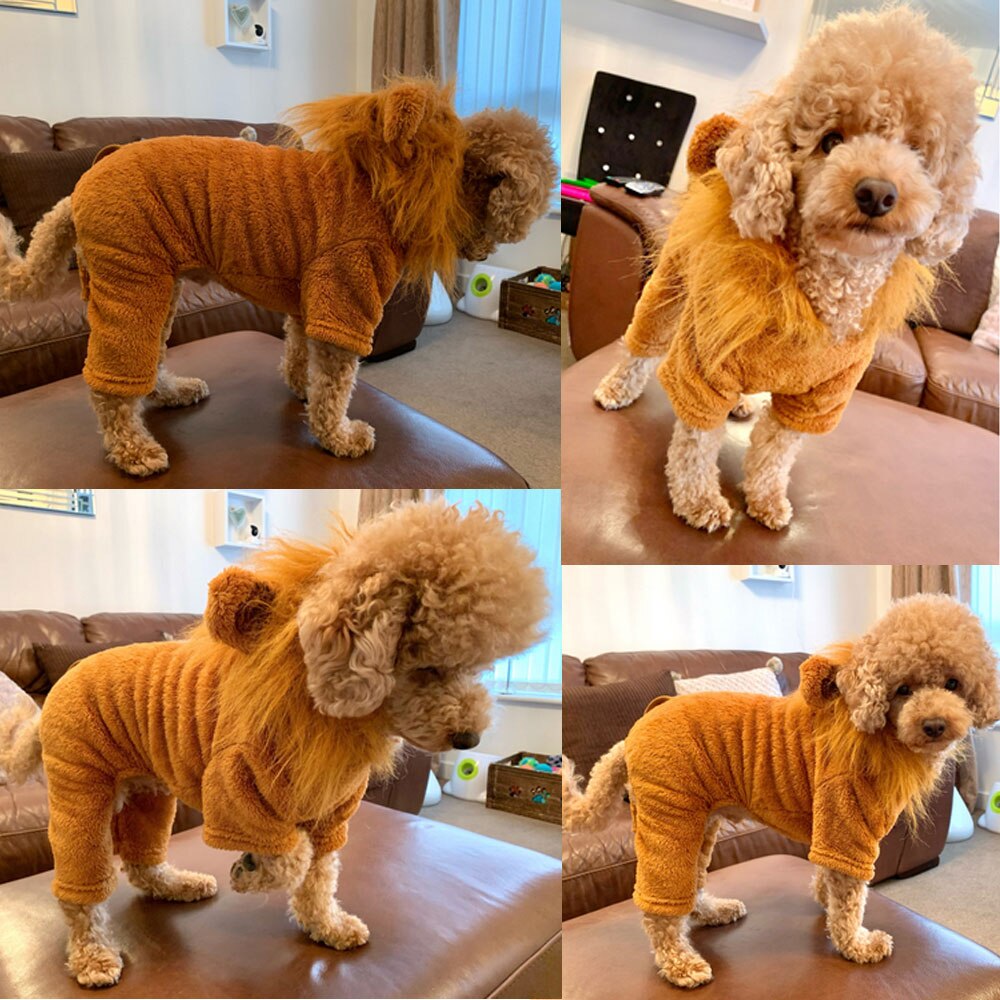 Doux polaire chien pyjamas combinaison hiver vêtements pour animaux de compagnie sweat à capuche pour chiot vêtements quatre jambes chien manteau salopette pyjamas pour Chihuahu