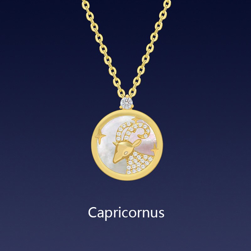 Fashionable Popular 12 Constellations Necklace Women Simple Versatile Pisces Temperament Neck Ornament: Capricorn