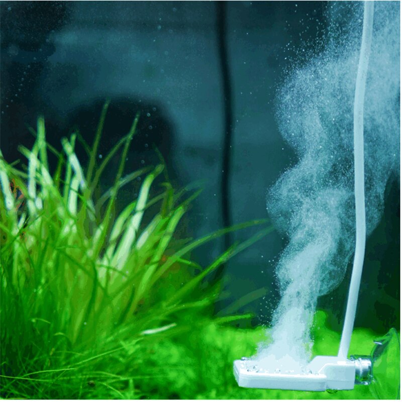 Chihiros læge kompis alger fjerne chihiros twinstar stil elektronisk hæmme grøn akvariefisk vand plante tank