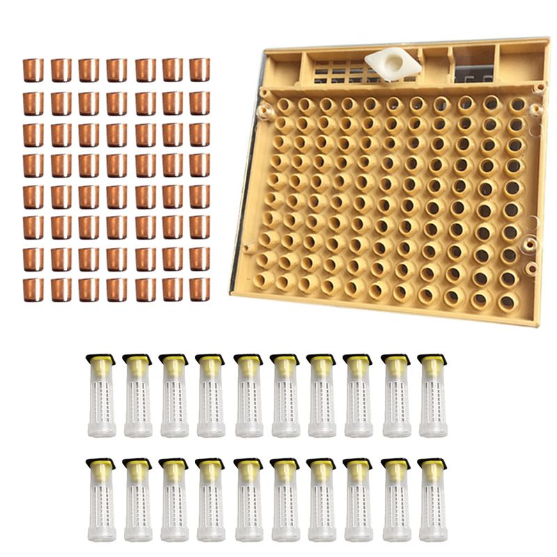 Bijenteelt Gereedschappen Apparatuur Set Queen Opfok Systeem Cultiveren Doos 110 Pcs Plastic Bee Mobiele Kopjes Cup Kit Koningin Kooi