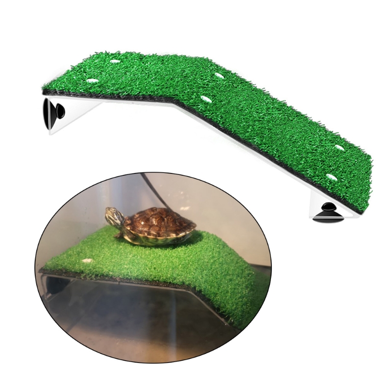 Aquarium Floating Decor Turtle Basking Platform Ac... – Grandado