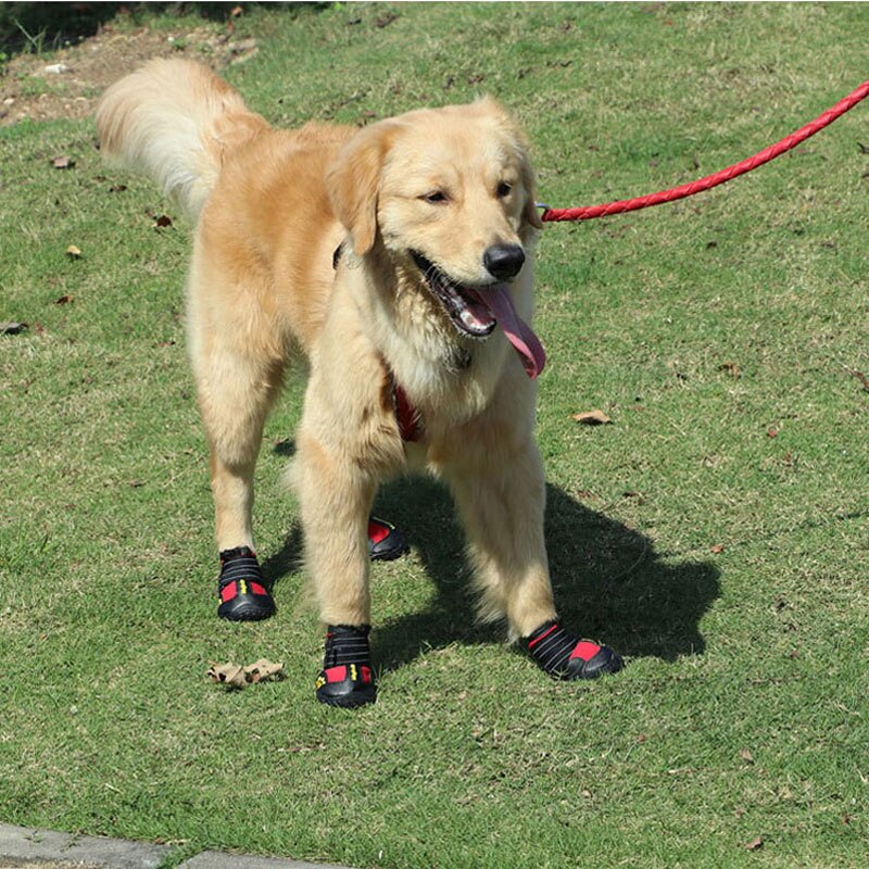 Chaussure imperméable réfléchissante pour grands chiens et veilleuse pour animaux de compagnie, bottes de pluie antidérapantes, chaussures d'extérieur à la
