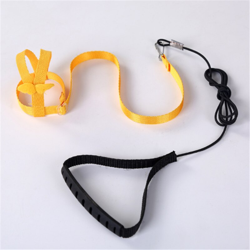 Colorful Parrot Bird Collar Harness Adjustable Parrots Bird Harness Training Traction Anti-Bite Outdoor Flying Harness Leash: yellow