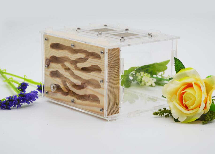 Houten Ant Nest Acryl Ant Farm Mieren Koningin Huis Insect Kooi Anthills Huisdier Mier Huis Granja De Hormiga Hormiguero Size15x14x10cm