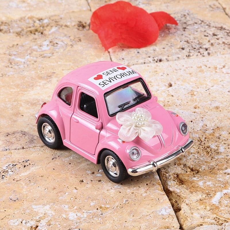 Pink Color Love Carriage Beetle