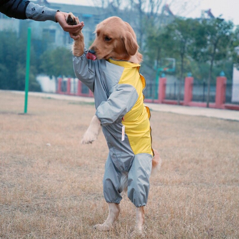 perro impermeable perro abrigo de lluvia impermeable Pet para grandes perros, Labrador Golden Retriever mono ligero abrigo para mascota