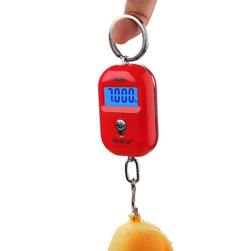 Mini Digital Scale Portable Luggage Scale with LCD Display 25Kg/55Lb Electronic Scale Pocket KeyChain Weight Hook Kitchen Weight