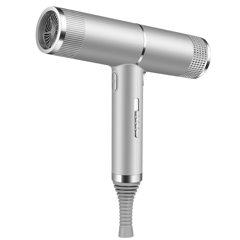 Negative Ion Hair Dryer Powerful Anion Cold Wind Fast Dry Constant Temp Snowflake Button Blower anti-static Hair Tools: Silver / US