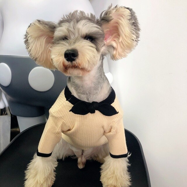 Dog Sweater Bowknot Plain Knit Sweater Cute Small and Medium-sized Dog Schnauzer Teddy Hiromi Cat Fall and Winter Clothing