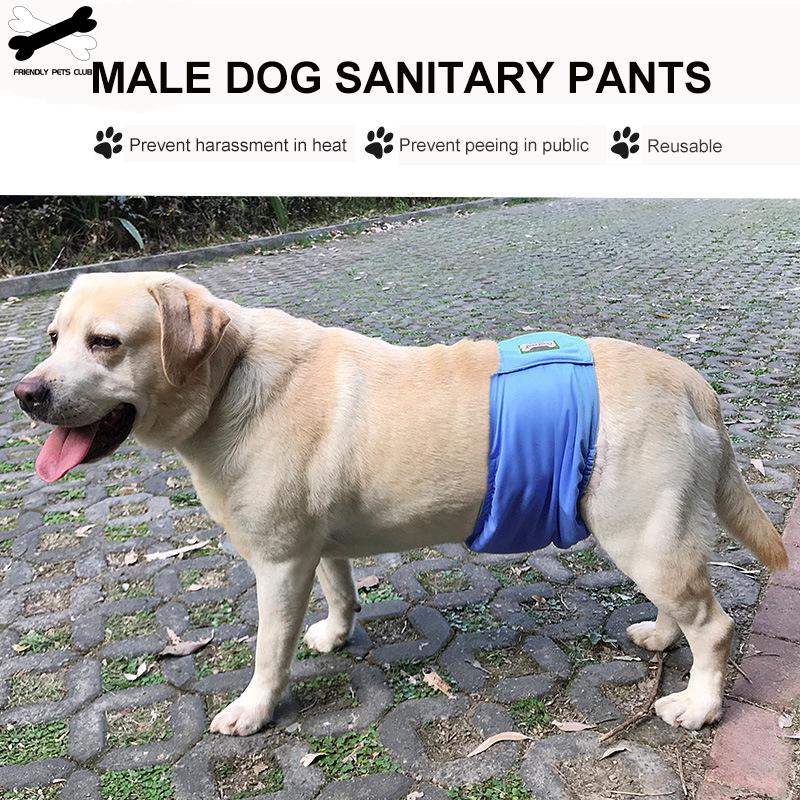 Pet Sanitary Pants Dog Diaper Protect Male Dog Physiological Wear Belly Teddy Golden Hair Waterproof Underpants Pet Supplies