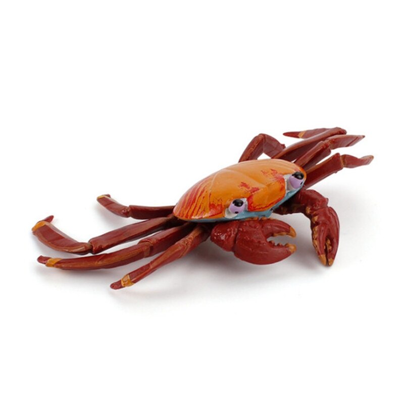 Sea Fish Miniature Statue Figurine that Looks Real Science Toy Students Reward: Sally Crab