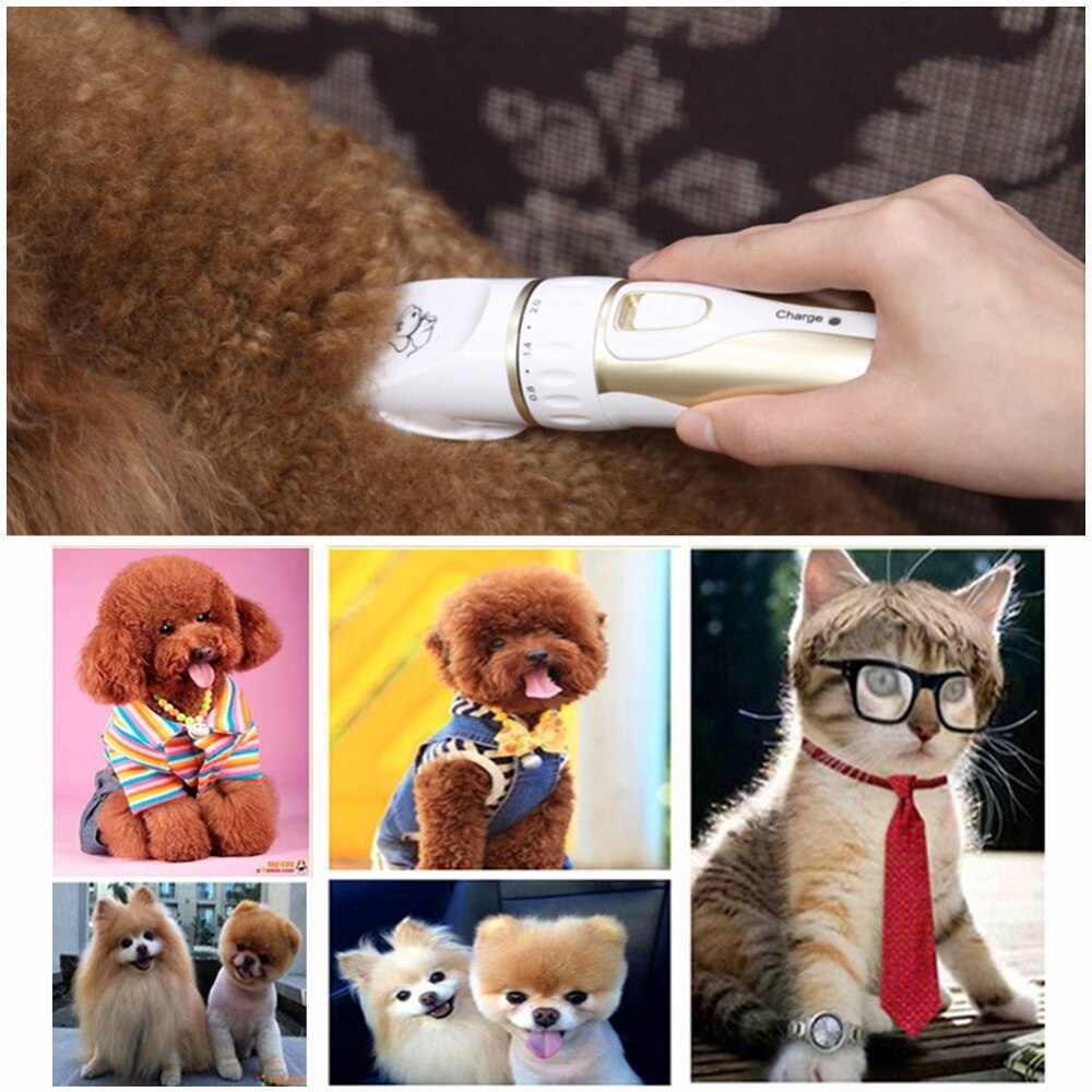 Professionele Elektrische Hond Haar Clipper Cutter Oplaadbare Pet Kat Hond Haar Trimmer Met Grooming Scheerapparaat Set Huisdier Kapsel Machine