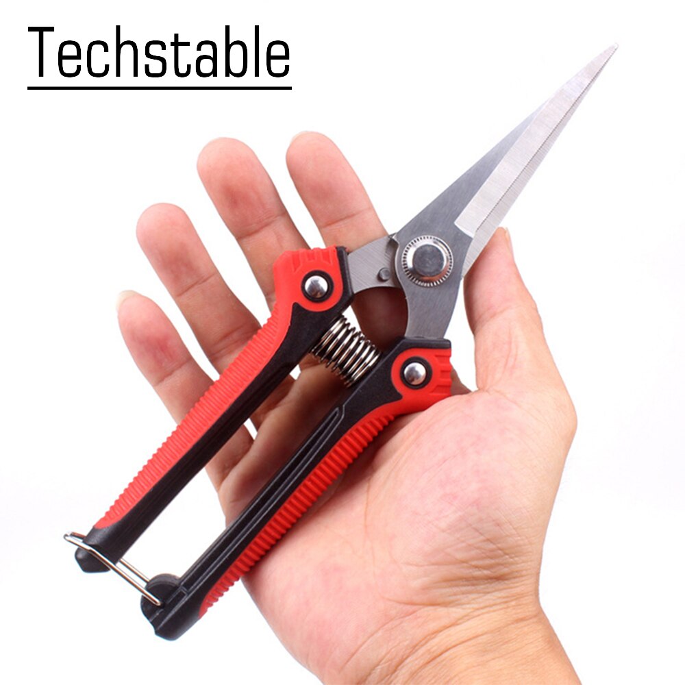 Stainless steel pointed head orchard fruit picking scissors Garden Scissor Hand pruner Branch Shear pruning Fruit Trees