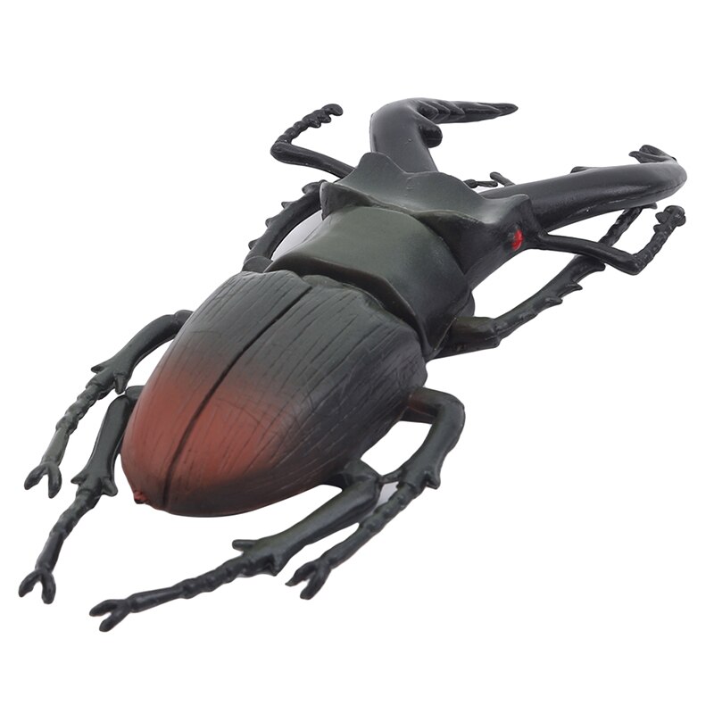 Simulation nyhed bille legetøj speciel livagtig model simulation insekt legetøj børnehave læremidler hjælp joke legetøj